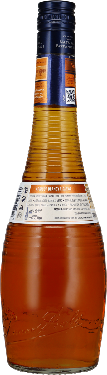 Bols Apricot Brandy 24% vol. Aprikosen-Likör 0,7 l