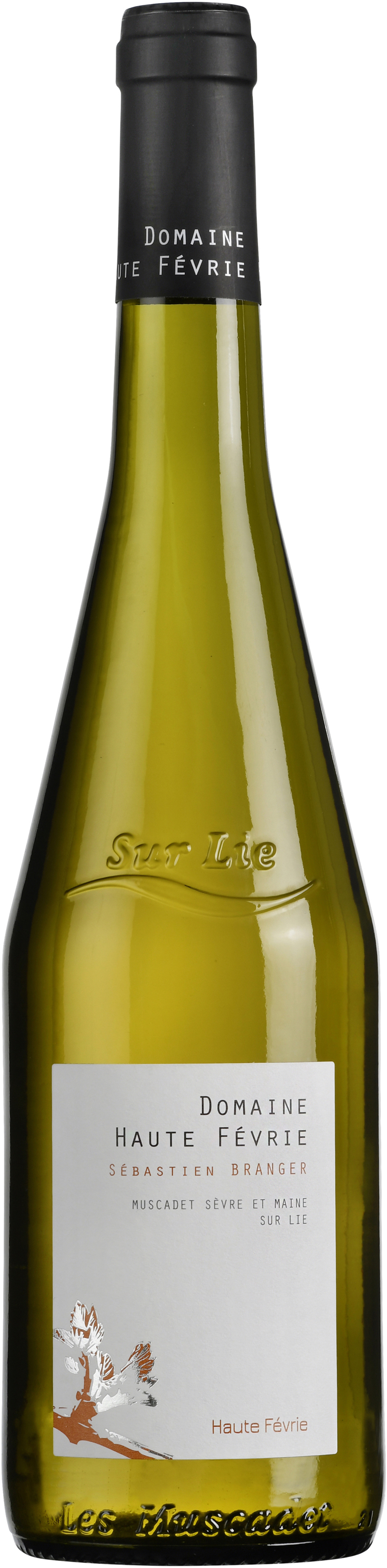 Domaine Haute Févrie Muscadet Sévre et Maine AOC sur Lie Frankreich BIO 0,75 l